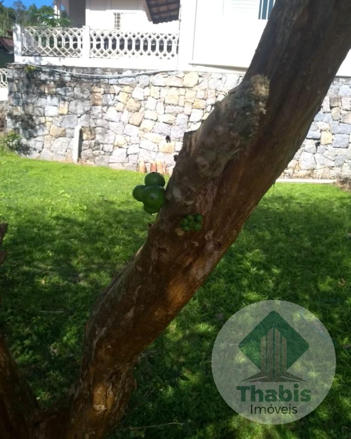 Foto 06